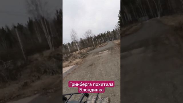 Похитила Блондинка Гринберга смотреть онлайн