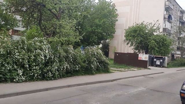 15.05.23.🗿ул.17 сентября🌚 ул.Интернациональная🗿ул.Советских пограничников🌚Брест🗿 смотреть онлайн