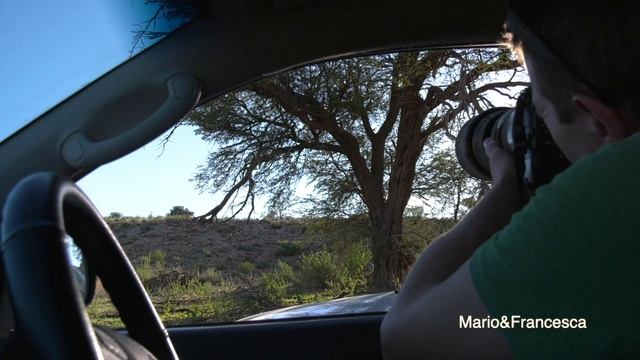 Kgalagadi Transfrontier Park смотреть онлайн