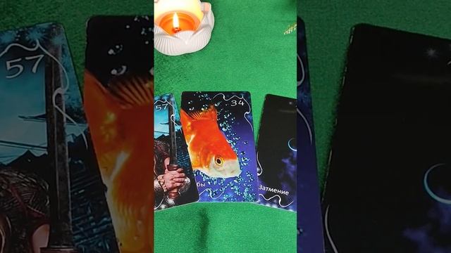 КАРТА ДНЯ 19/11 #таросегодня смотреть онлайн