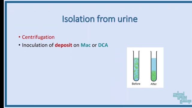 Revision of L1, Bacteremia, salmonella and enteric fever, Micro смотреть онлайн