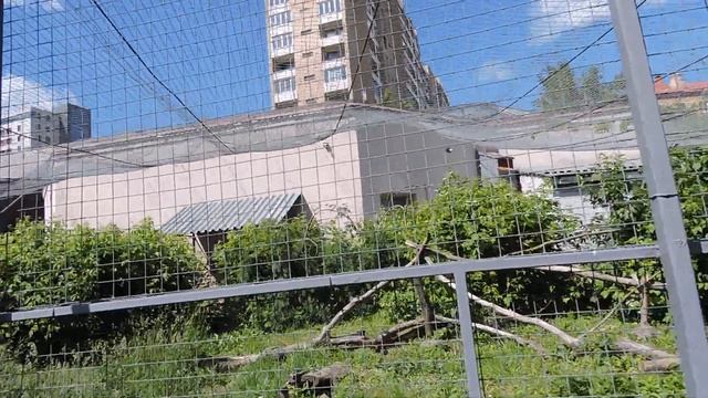 144 Московский ZООпарк часть 2 смотреть онлайн