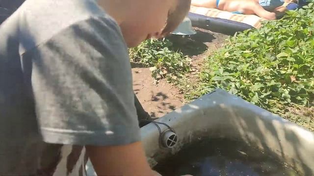 наше первое видео (эксперименты на даче №1) смотреть онлайн