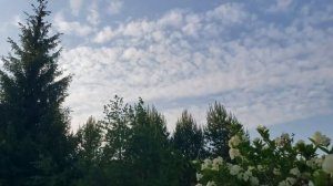 "Насажу я на крючок хитрую наживку" (Золотая рыбка)