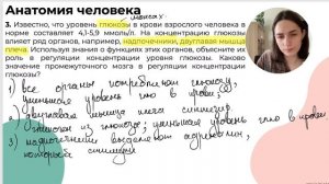 РЕШАЕМ ЗАДАНИЯ ВТОРОЙ ЧАСТИ ПО АНАТОМИИ | ЕГЭ 2024 по биологии
