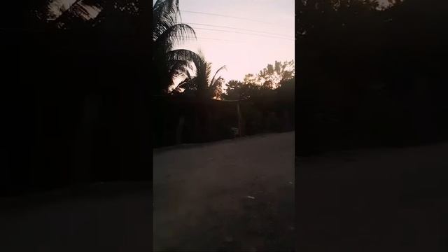 bamos a poner carta en el asunto y a zoila ahora le tiene miedo ami 📷 смотреть онлайн