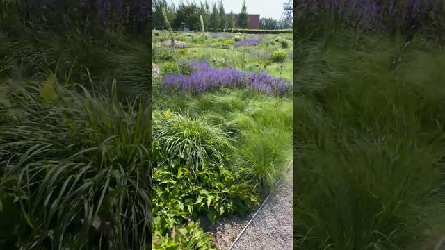 Piet Oudolf garden at Vitra Design Museum смотреть онлайн