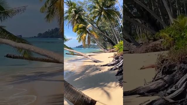 Вот Где Рай в Таиланде Остров Ко Куд 2023 #тайланд #таиланд #кокуд #путешествия #путешествие смотреть онлайн