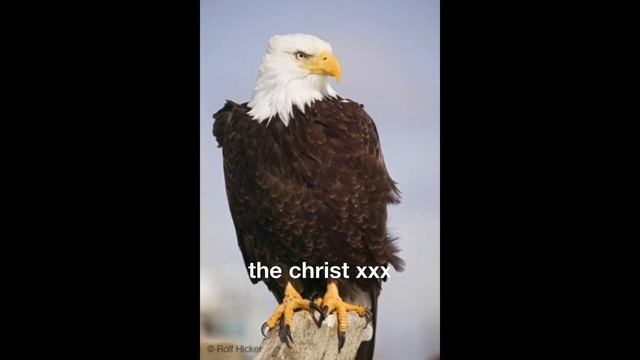 the christ xxx смотреть онлайн