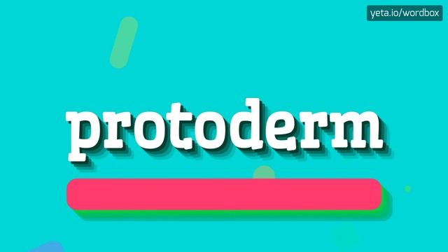 PROTODERM - HOW TO PRONOUNCE IT!? смотреть онлайн