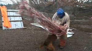 Дрессировка собак, фигурант РКФ Питомник от Сольника