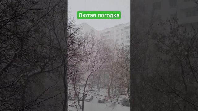 15 января 2024 г. смотреть онлайн