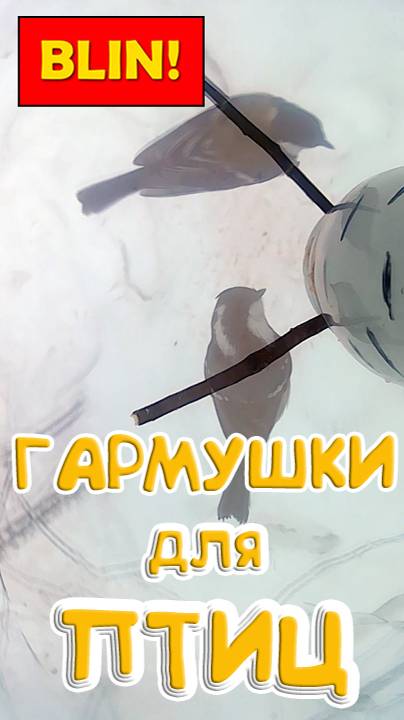 Московка и Большая синица отказываются от овсянки