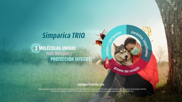 Simparica TRIO, Protege a tu mascota смотреть онлайн