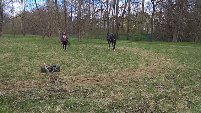 VID_20200513_152002 смотреть онлайн