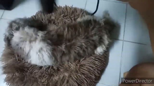 ตามติดชีวิตน้องไข่ฟูใน 1 วัน смотреть онлайн