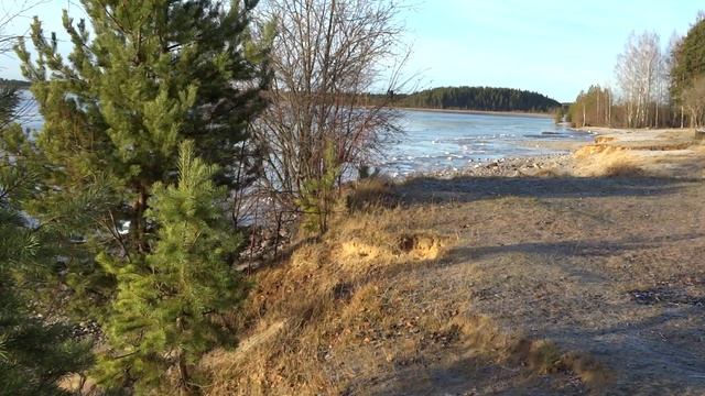 Линдозеро-11.11.2024 г