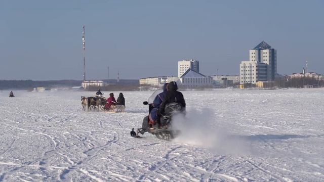 День оленевода – 2023