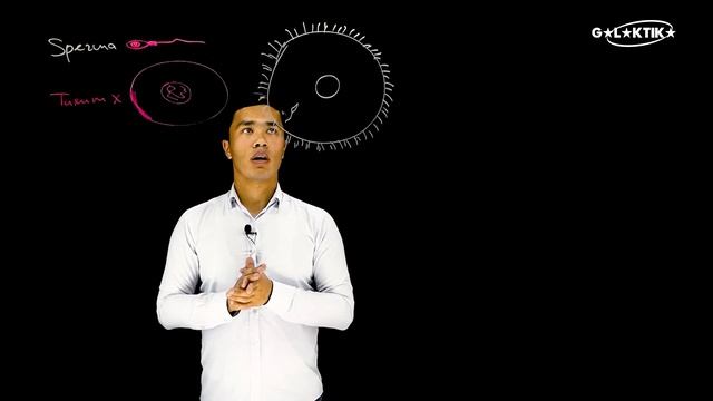 13-dars | Odam Organizmining Ko'payishi || Embrional Rivojlanish