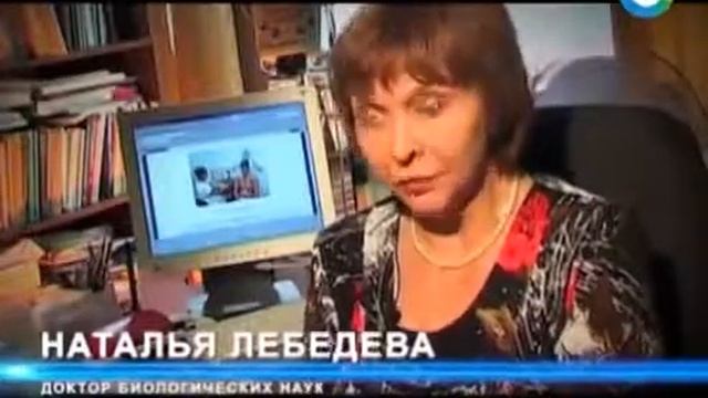 Земля. Территория загадок. Бермудский треугольник - гавань пропавших короблей смотреть онлайн