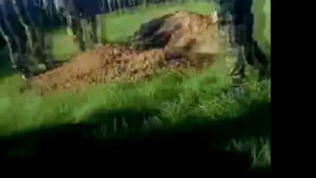 самые эпичные фразы #5 1 смотреть онлайн