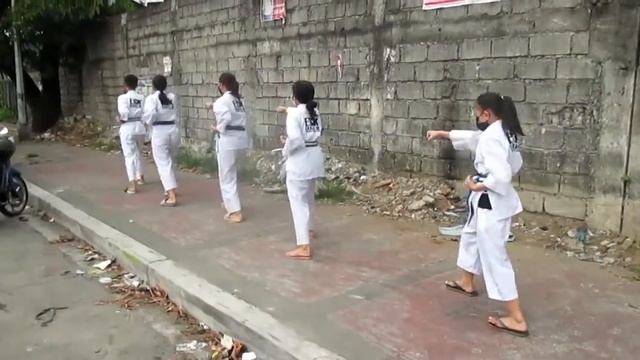 PKL ESK & RTK Karate-Do 2 years covid 19 pandemic Refresh Kata Training Sensei Ferdinand Raña смотреть онлайн