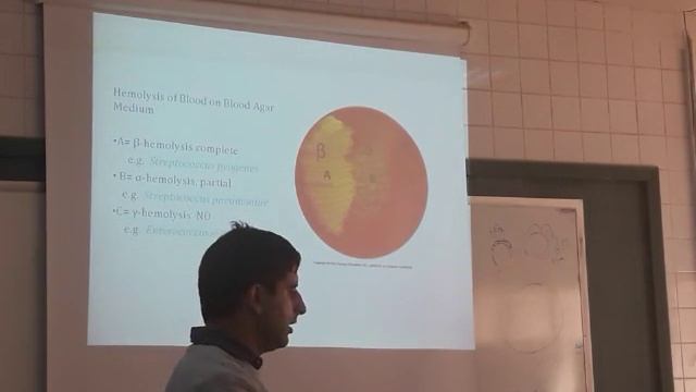 Diagnosis of Bacterial diseases 2/3 - Monday 23/1/2017 смотреть онлайн