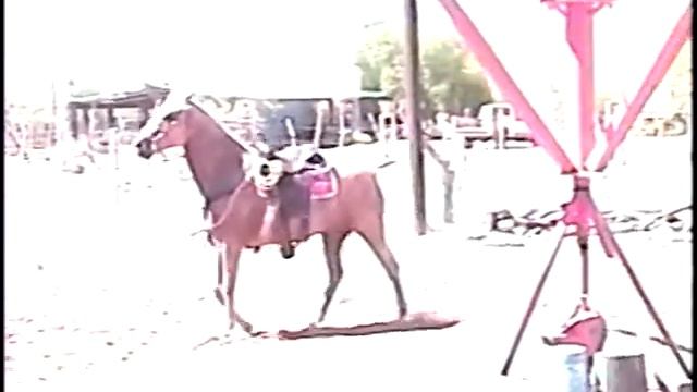 fabuLa deL cabaLLoO =$ смотреть онлайн