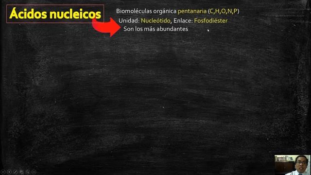 proteinas y acidos nucleicos смотреть онлайн