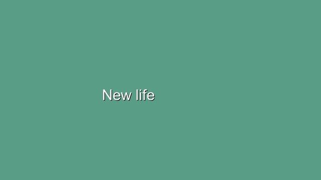 Lambert Douglas- New Life смотреть онлайн