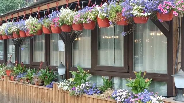 Жаркое лето. Сергей Чекалин. Hot summer. Sergey Chekalin. смотреть онлайн