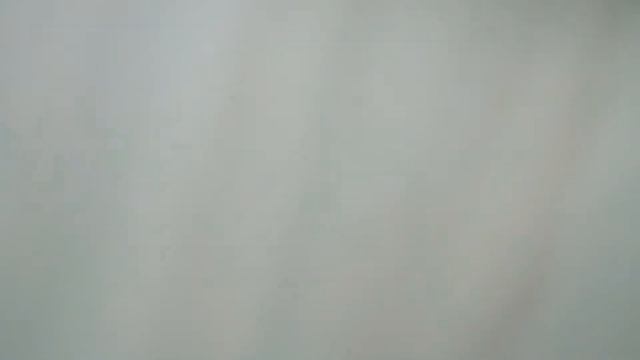 Обучение волонтеров проекта "Волонтеры Конституции" смотреть онлайн