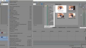 Vegas Pro 12 Как вернуть в панель видеоэффекты?Переходы?И тд.