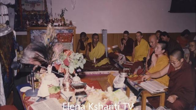 Цог Кусали смотреть онлайн