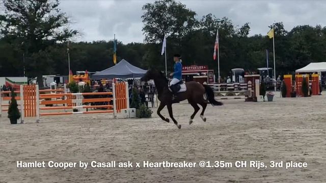 6yo AES Approved Hamlet Cooper by Casall ask x Heartbreaker @ 1.35m CH RIJS, 3rd place смотреть онлайн