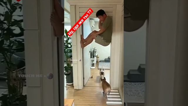 Ну, где же ты??? #александрягья #спасибо смотреть онлайн