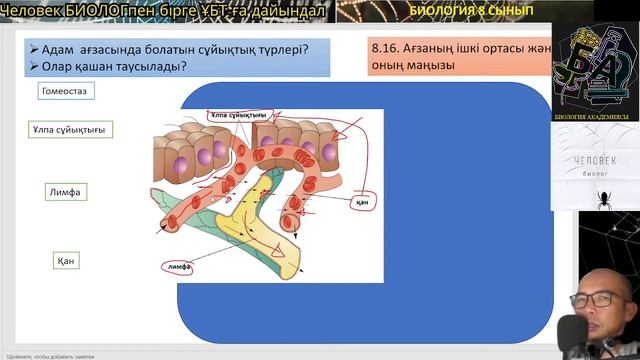 8.16. Ағзаның ішкі ортасы және оның маңызы смотреть онлайн