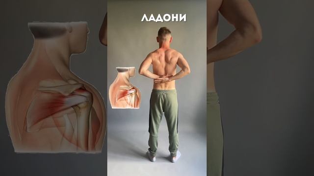 Укрепляем спину ✊🏻 смотреть онлайн