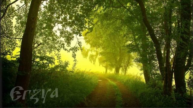 Erzya - Tundo (Эрзя -Тундо) FLStudio смотреть онлайн