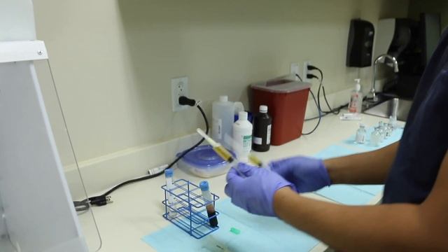 Traumeel And Zeel Procedure