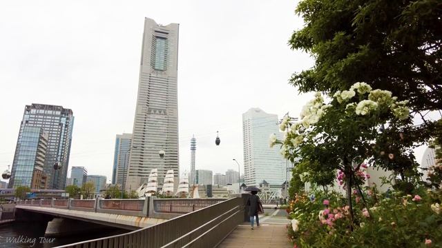 Rose Festival Yokohama “Yokohama City Hall” Walk with relaxation music｜for Sleep and Relaxation｜4K смотреть онлайн