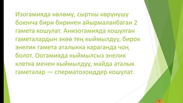 Организмдин өзүн-өзү кайрадан жаратуусу смотреть онлайн