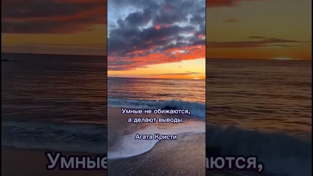 Обида - выводы смотреть онлайн