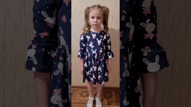 Алымова Вероника, 6 лет Брянская обл, г. Трубчевск, детский сад "Белочка" смотреть онлайн