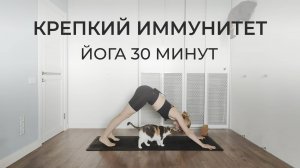 Йога и дыхательные упражнения для повышения иммунитета | активная практика йога Айенгара