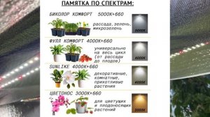 ОБЗОР МОИХ 💡ФИТОЛАМП ОТ 🌱🌿МИНИФЕРМЕР