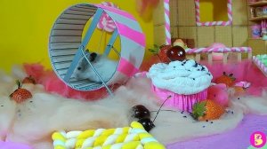 ХОМЯЧКИ В ПРЯНИЧНОМ ДОМИКЕ или СТРАНЕ КАРАМЕЛИ И ПЕЧЕНЬЯ The hamsters in the gingerbread house