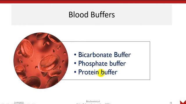 Blood Buffer System| Chemical Buffer System | Bicarbonate Buffer System смотреть онлайн