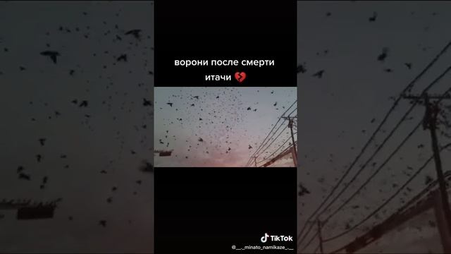 Вороны после смерти Итачи... смотреть онлайн