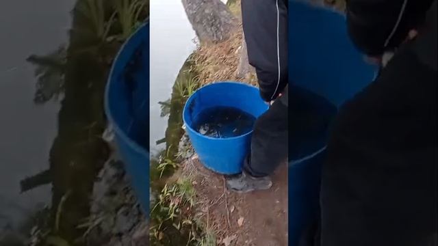 запуск смотреть онлайн